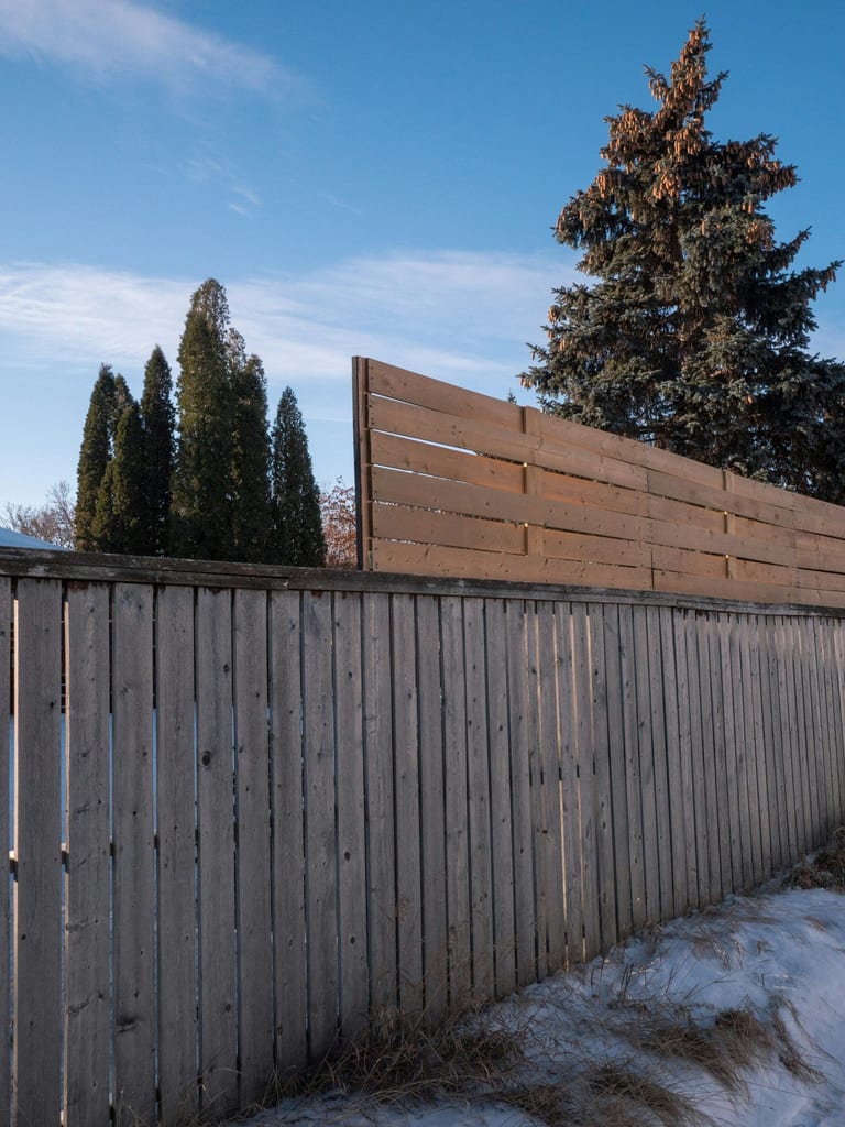 Modern privacy fence in a landscaped yard