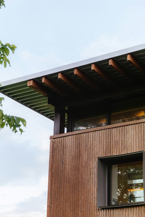 Warm honey-toned wood slat cladding in daylight